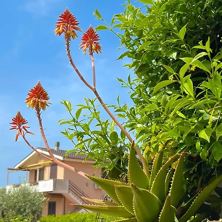Casa Berardi - Steps From The And Train Station, Perfect For Sunsets *